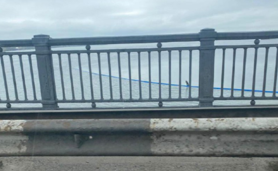 В Николаеве всплыл варваровский дюкер, в водоканале говорят так надо (ВИДЕО)