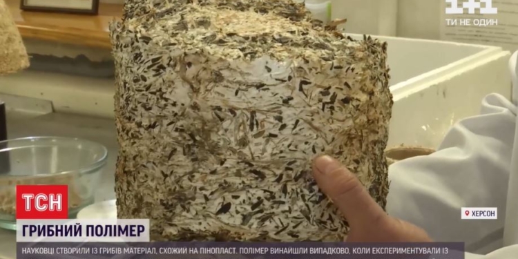 Счастливая случайность. Херсонские ученые изобрели способ превращать отходы в экопластик (ВИДЕО)