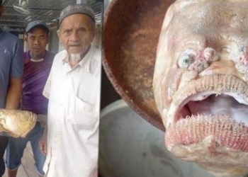 Рыбу с человеческим лицом поймали в Таиланде (ФОТО)