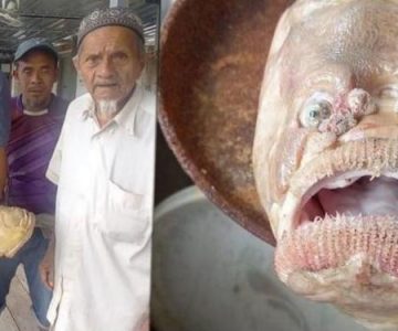 Ужас с жабрами: рыба с «человеческим лицом» взбудоражила соцсети | Живая Кубань