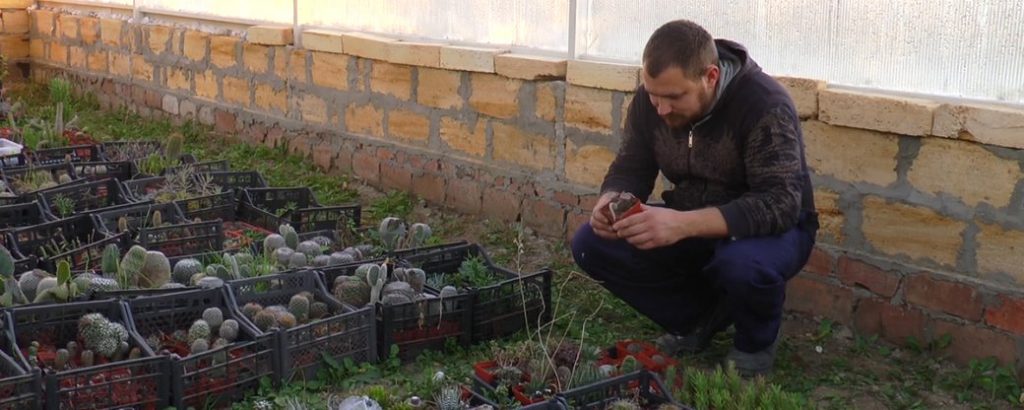 Николаевский ветеран АТО открыл свое дело: выращивает на экспорт кактусы (ВИДЕО) 1