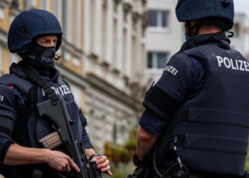 В Австрии провели массовые рейды против «Братьев-мусульман»