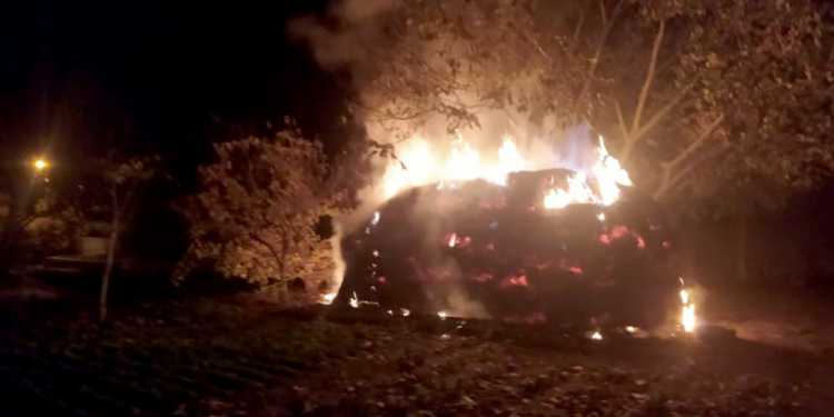 Большой огонь. В Вознесенске сгорело 20 тонн сена