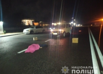 Полиция ищет свидетелей ДТП в Баштанском районе, в котором погибла женщина-пешеход