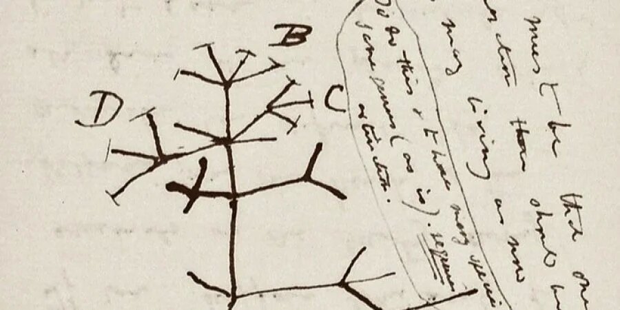 Из Кембриджа исчезли дневники Чарльза Дарвина. Ученые не исключают, что их могли украсть 1