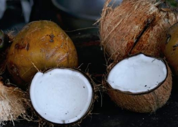 Коронакризис: студентам университета на Бали разрешили платить за обучение кокосами