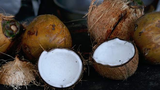 Коронакризис: студентам университета на Бали разрешили платить за обучение кокосами 1
