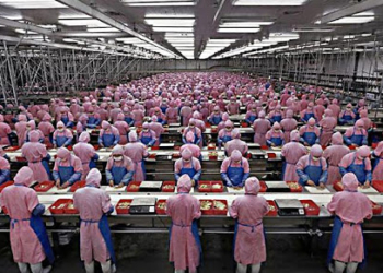 Apple выбрал страну, в которую выведет свое производство из Китая