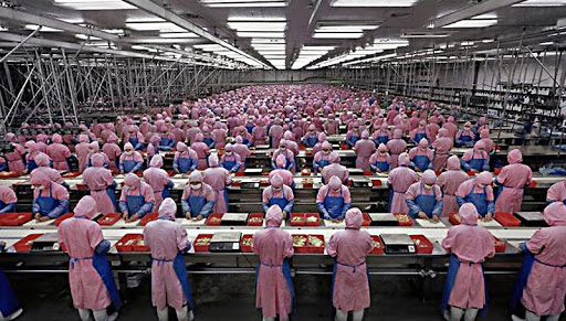 Apple выбрал страну, в которую выведет свое производство из Китая