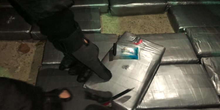 Кокаин во фруктах: пограничники не дали вывезти из Украины в ЕС 54 кг кокаина (ФОТО, ВИДЕО)