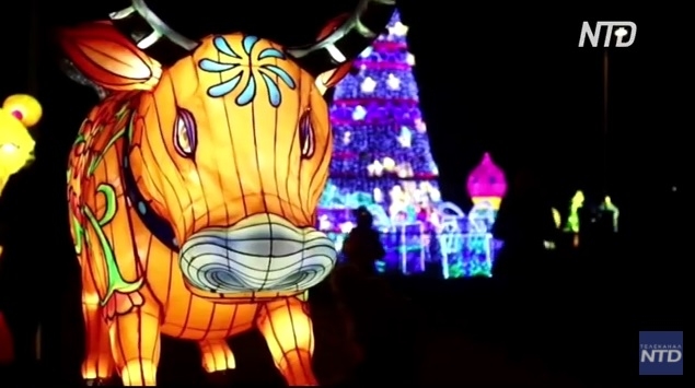 А фонари тоже могут фестивалить: в Таллине проходит фестиваль «Страна грез» (ВИДЕО)