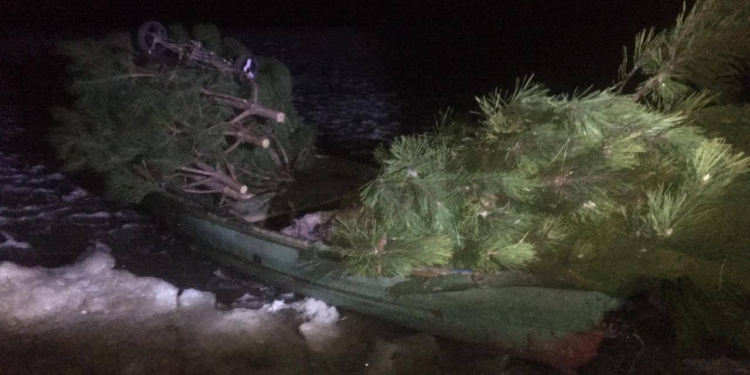 Рано начали: на Николаевщине поймали браконьера, незаконно «заготавливавшего» сосны (ФОТО)