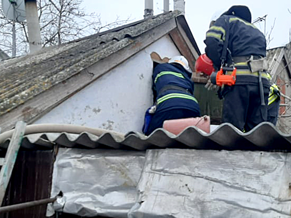 В Николаеве пожарные спасли жилой дом от уничтожения (ФОТО) 1
