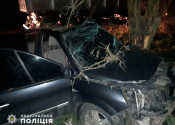 Под Николаевом Reno слетел с трассы и врезался в дерево: водитель и пассажирка в больнице (ФОТО)