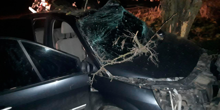 Под Николаевом Reno слетел с трассы и врезался в дерево: водитель и пассажирка в больнице (ФОТО)