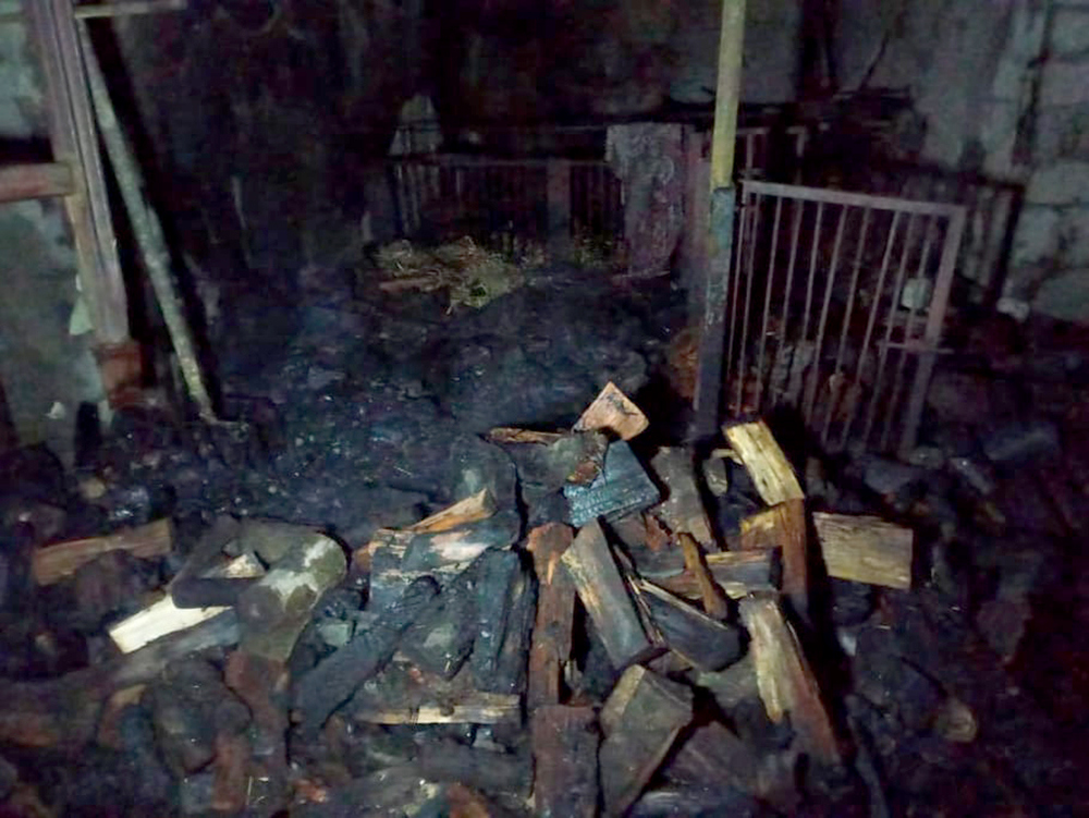 За сутки спасатели Николаевщины тушили пожары в жилье, на складе и в магазине (ФОТО) 3