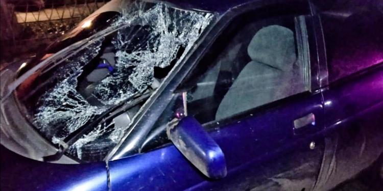 На трассе «Николаев-Одесса» ВАЗ сбил пешехода на переходе