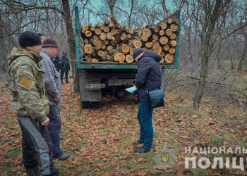 На Николаевщине поймали банду лесорубов (ФОТО, ВИДЕО)
