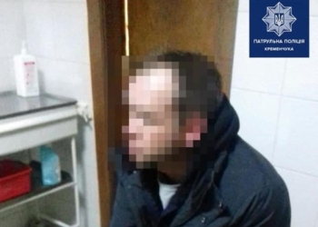 На Полтавщине пьяный водитель предложил копам взятку свиньей