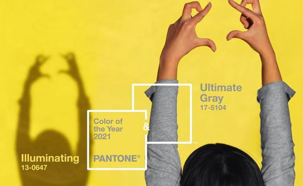 Институт цвета назвал самые модные цвета наступающего года