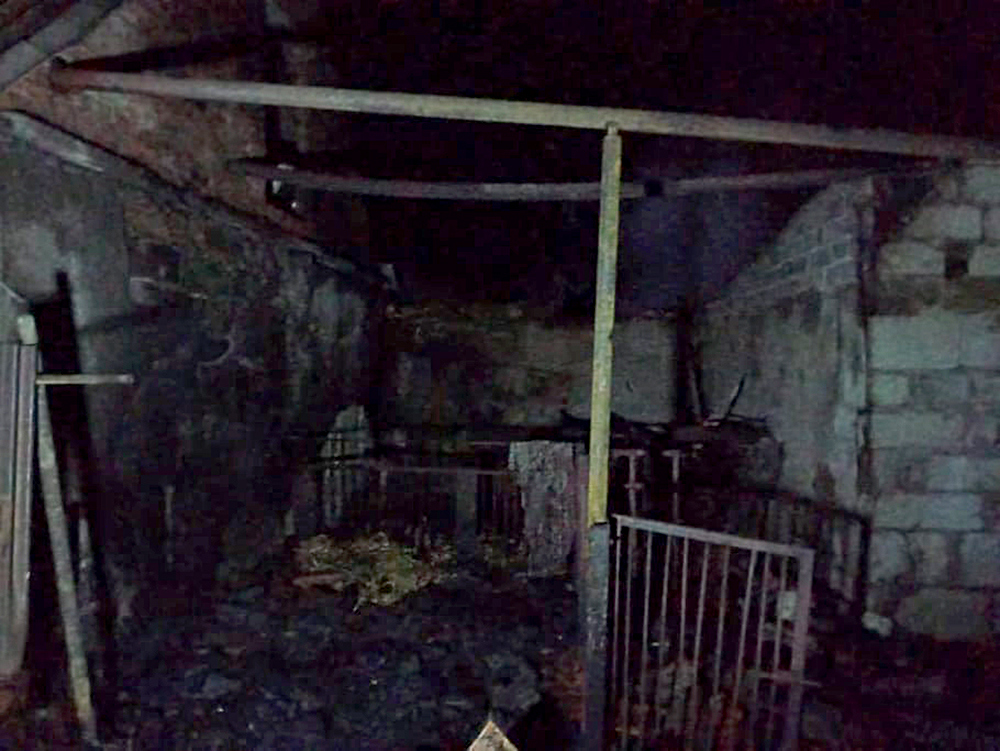 За сутки спасатели Николаевщины тушили пожары в жилье, на складе и в магазине (ФОТО) 5