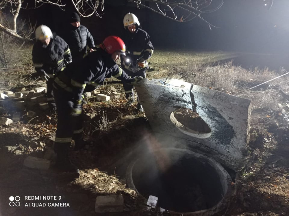 Невнимательный Орлик: на Николаевщине поздним вечером спасатели достали коня из колодца (ФОТО) 1