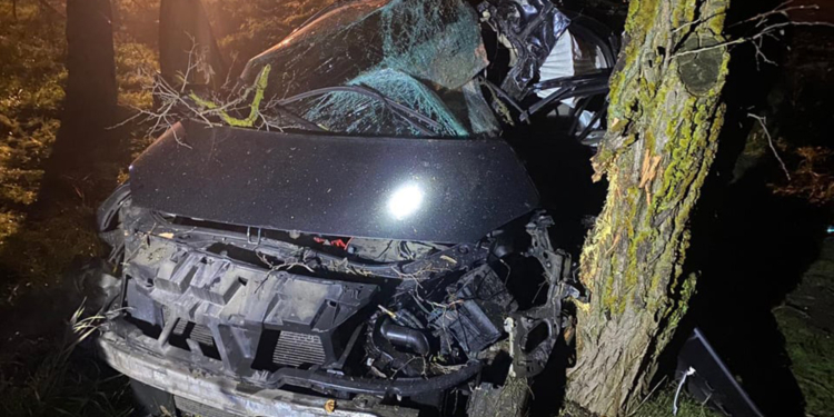 Вечернее ДТП в Новоодесском районе: пострадали двое (ФОТО)