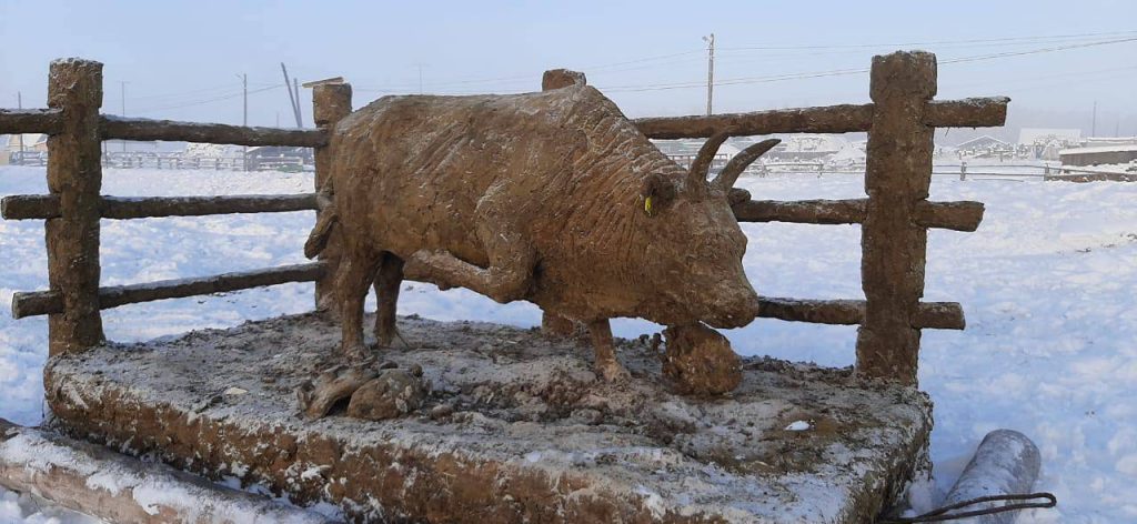 В Якутии слепили из навоза фигуру быка - и посвятили ее медикам (ВИДЕО) 1