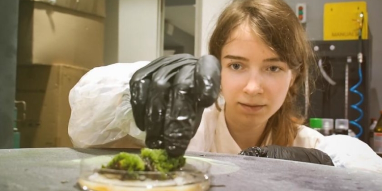 Это важно и для борьбы с вирусами. Украинка предложила вернуть здоровую влажность городам с помощью мха на домах (ВИДЕО)