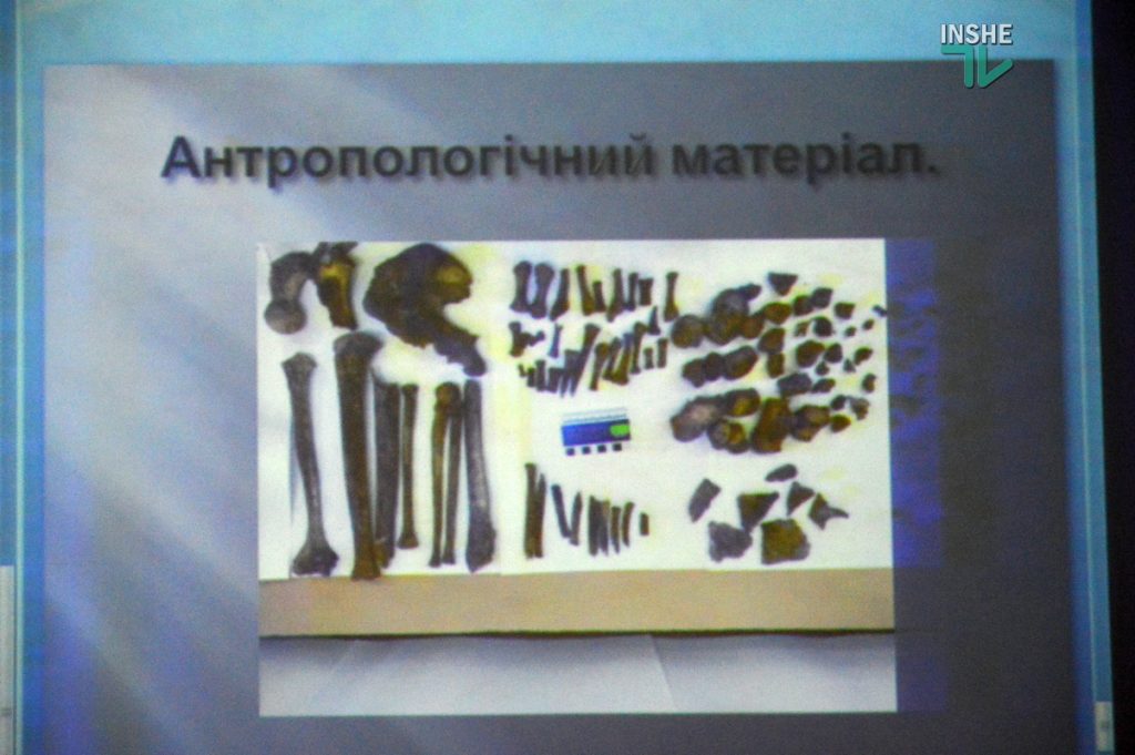 В Николаеве показали исторические находки, найденные на месте уничтоженного «черными археологами» скифского кургана (ФОТО и ВИДЕО) 15