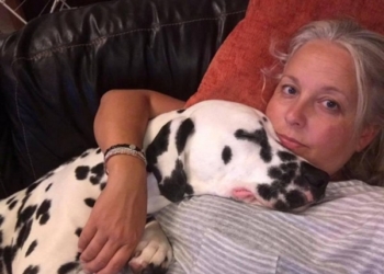 “Щас спою”. И спел – причем, пес сам аккомпанировал себе на фортепиано (ФОТО)