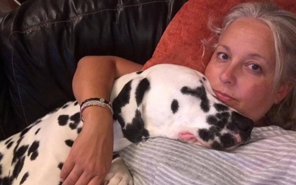 “Щас спою”. И спел – причем, пес сам аккомпанировал себе на фортепиано (ФОТО)