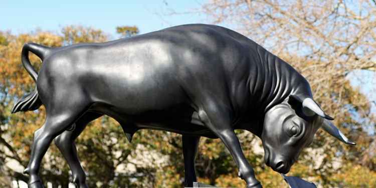 Астролог рассказал, с каким алкоголем следует встречать год Металлического Быка