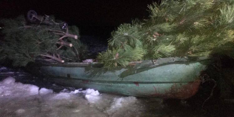 Возле Сливино снова поймали браконьеров с соснами (ФОТО, ВИДЕО)