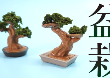 Вырастить и съесть: в Японии создали набор для шоколадных бонсаев (ВИДЕО)