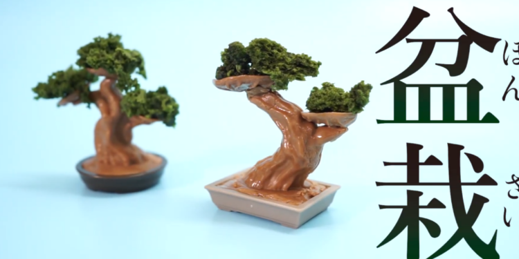 Вырастить и съесть: в Японии создали набор для шоколадных бонсаев (ВИДЕО)