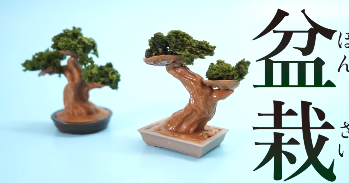 Вырастить и съесть: в Японии создали набор для шоколадных бонсаев (ВИДЕО)