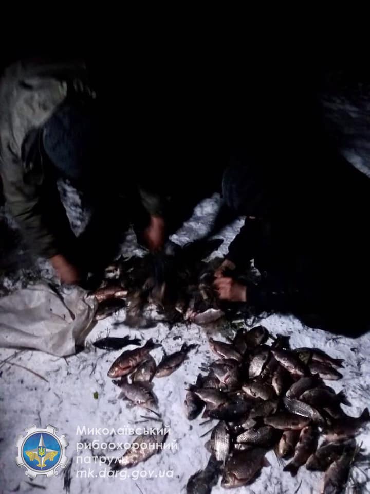 Незаконно добыли 172 карася: Николаевский рыбоохранный патруль задержал браконьеров (ФОТО) 3