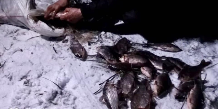 Незаконно добыли 172 карася: Николаевский рыбоохранный патруль задержал браконьеров (ФОТО)