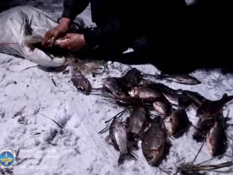 Незаконно добыли 172 карася: Николаевский рыбоохранный патруль задержал браконьеров (ФОТО)