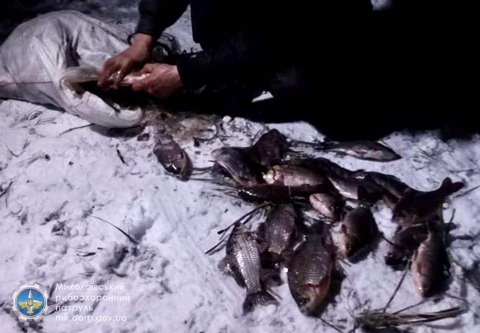 Незаконно добыли 172 карася: Николаевский рыбоохранный патруль задержал браконьеров (ФОТО) 1