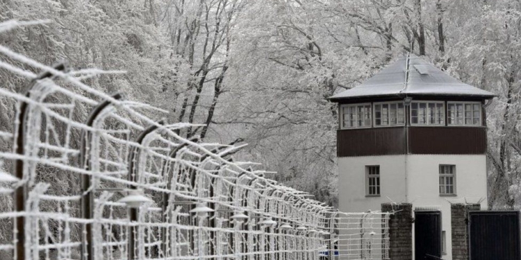 Локдаун в Германии: немцы ездят кататься на санях по братским могилам в Бухенвальде