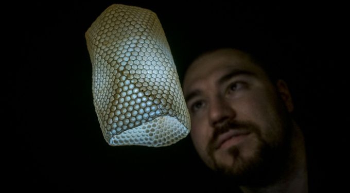 Чешский студент научил пчел делать абажуры для ламп