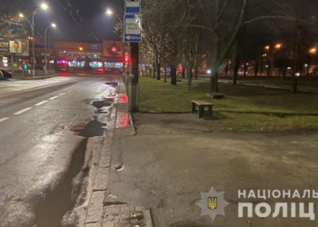 Полиция установит, почему в Николаеве пенсионер выпал из троллейбуса