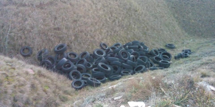 На николаевском курорте Черноморка обнаружили десятки  старых автомобильных шин: рыбацкий запас или нелегальная свалка? (ФОТО)