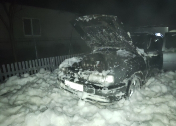 В Баштанке на пожаре дома хозяйка получила ожоги, во Врадиевке горел автомобиль (ФОТО)
