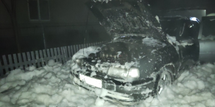 В Баштанке на пожаре дома хозяйка получила ожоги, во Врадиевке горел автомобиль (ФОТО)