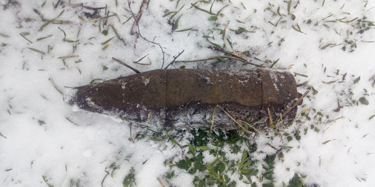 В Казанковском районе обезвредили артснаряд, который нашел пастух (ФОТО)