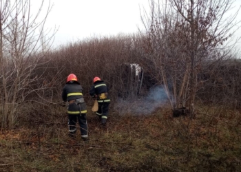 В Доманевском районе «Фольксваген» слетел в кювет – доставали его спасатели (ФОТО)