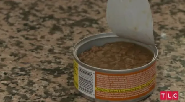 Миллионерша из Лас-Вегаса ест кошачий корм ради экономии